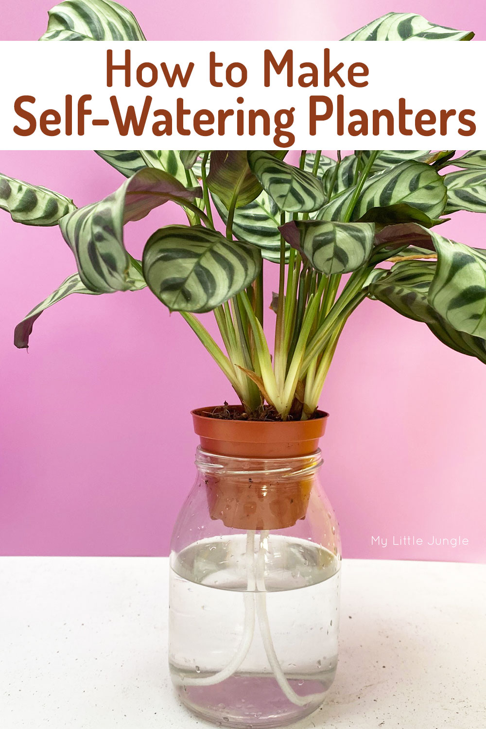 How to Make Self Watering Planters